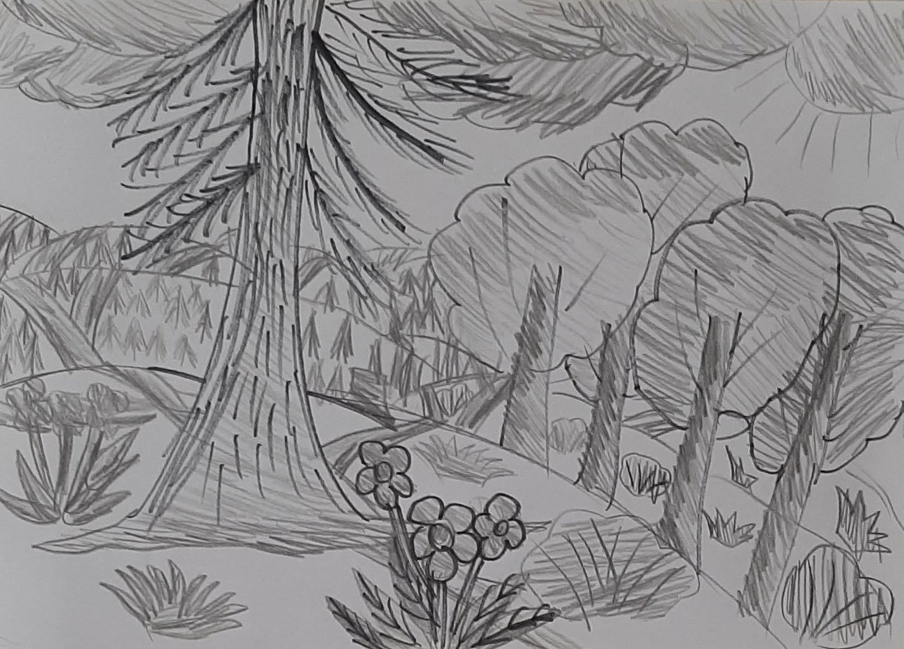 Рисунок лес летом карандашом