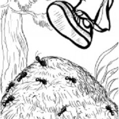 Схема муравей рисунок