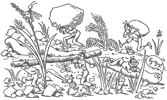 Муравейник раскраска для детей
