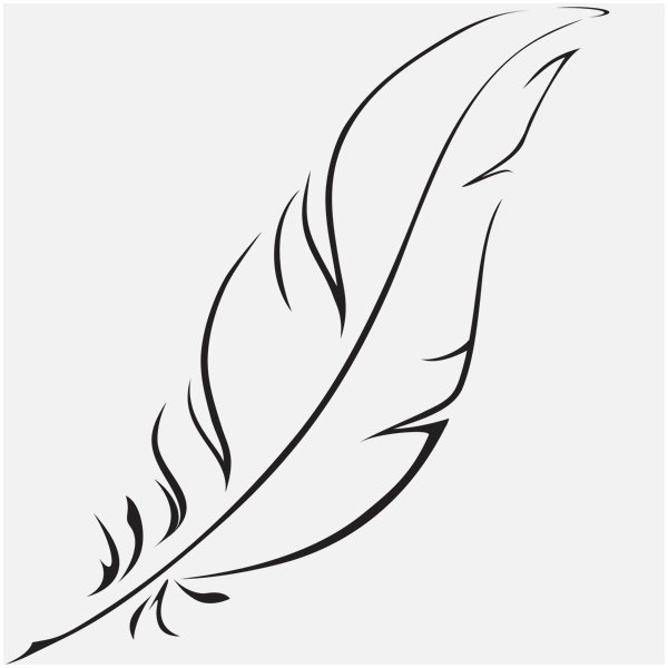 Перо птицы карандашом