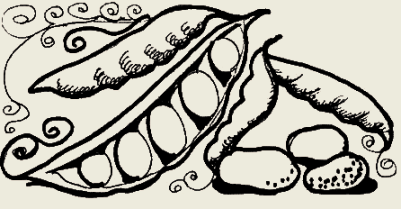 Рисунок фасоль карандашом (32 фото)