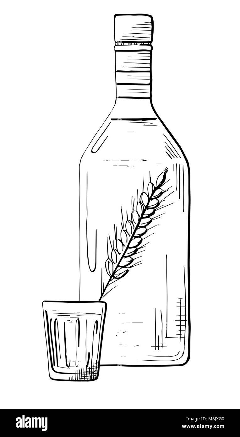 Бутылка водки эскиз