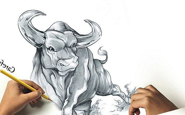 Телец карандашом
