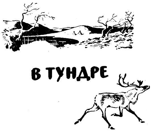 Природа севера раскраска