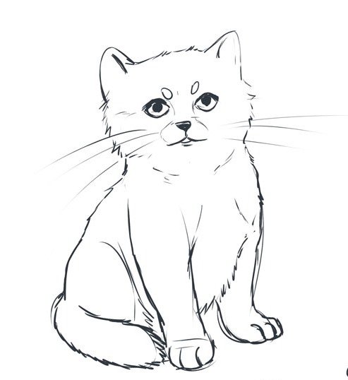 Кошка рисунок карандашом