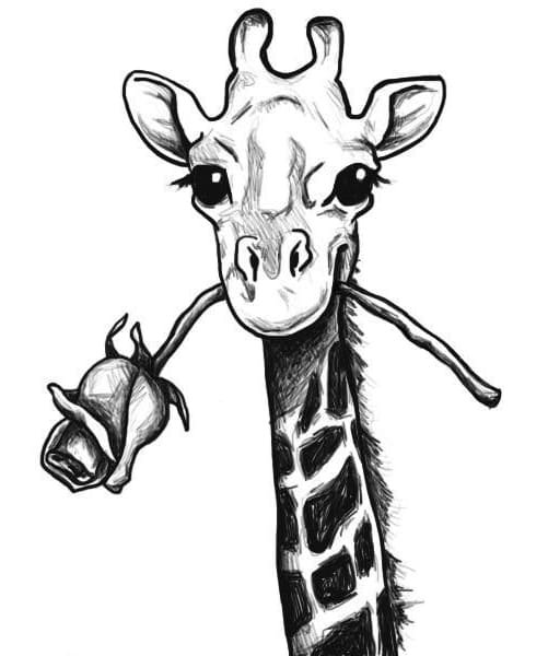 Наброски жирафа