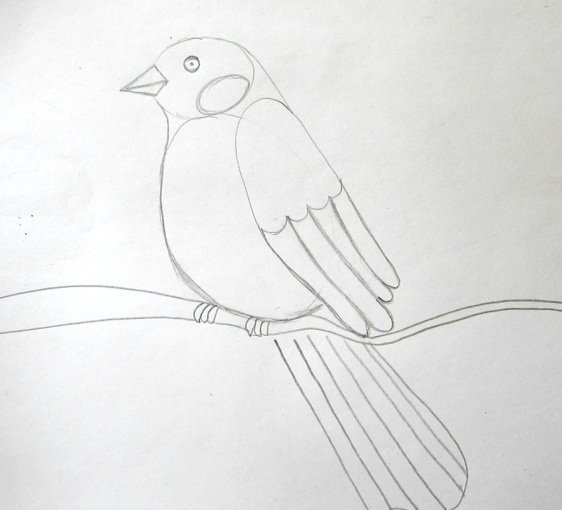 Снегирь рисунок карандашом (45 фото)