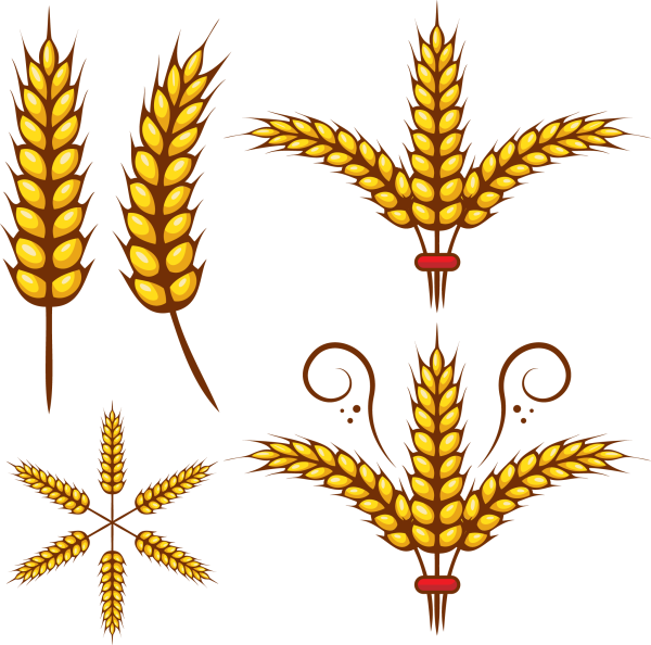 Колосок рисунок