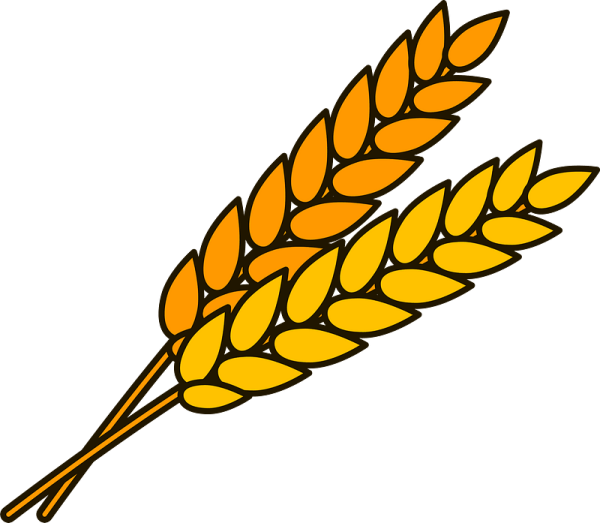 Колосок мультяшный