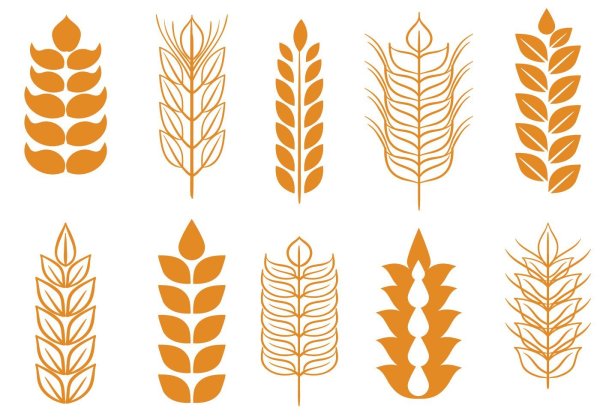 Стилизованные колоски