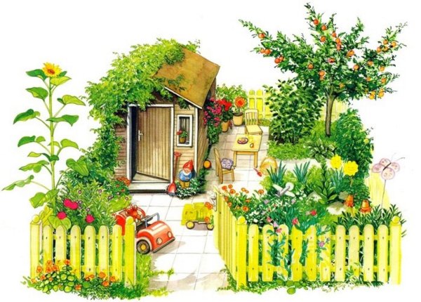 Сад огород иллюстрации