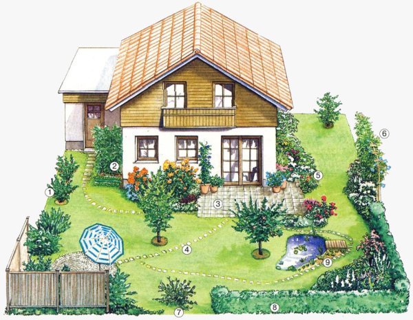 Планирование дачного участка 6 соток