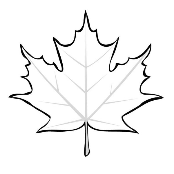 Кленовый лист раскраска