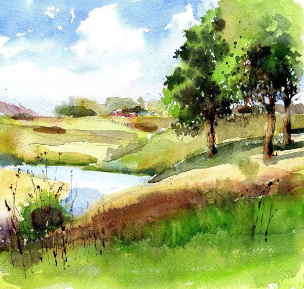 Летнее дерево живопись