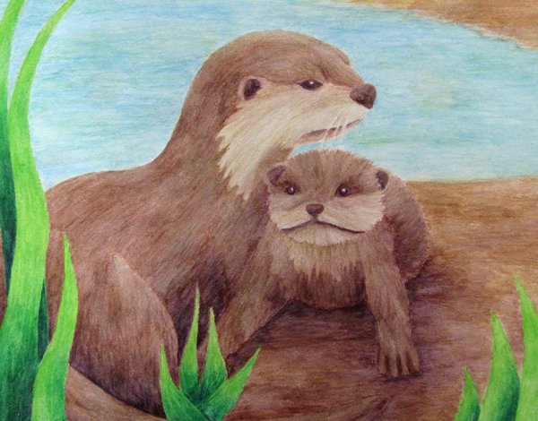 Рисование Речной выдры