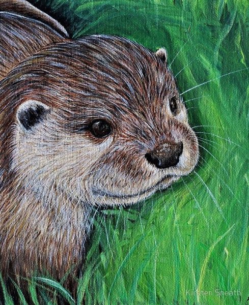 Sydney Hanson выдра