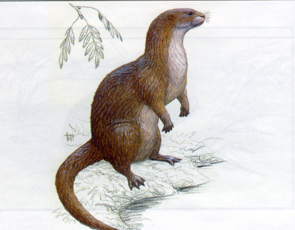 Древние Куньи