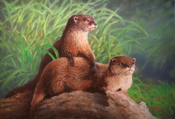 Догадливая выдра