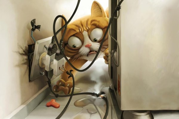 Мультяшные коты