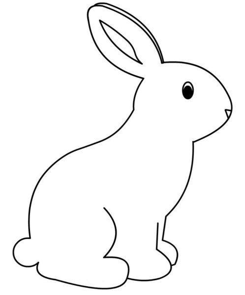 Заяц контур сзади