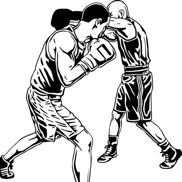 Бокс иллюстрации