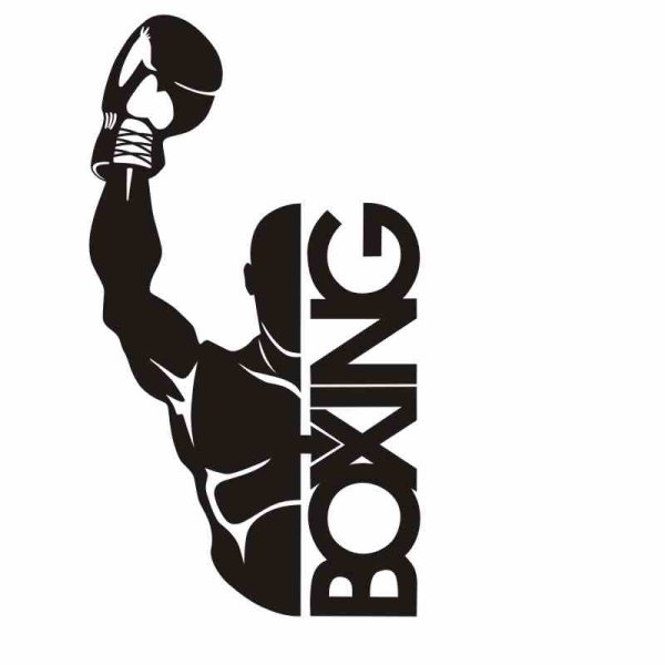 Бокс эмблема