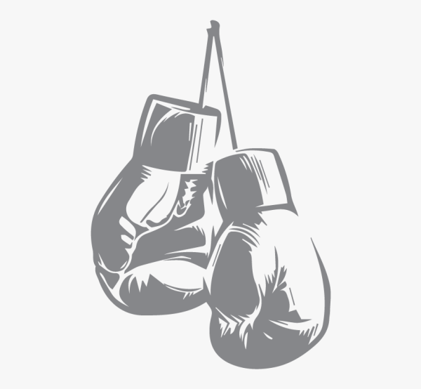 Боксерские перчатки