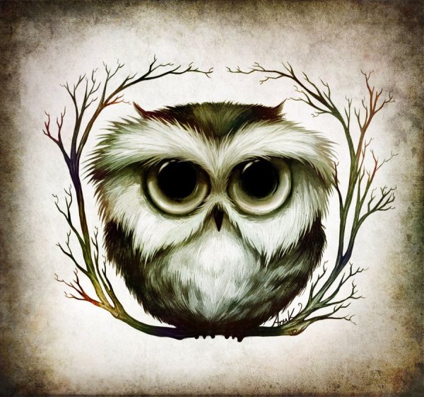 Нарисовать сову