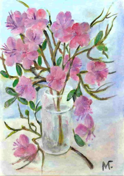 Шилов багульник