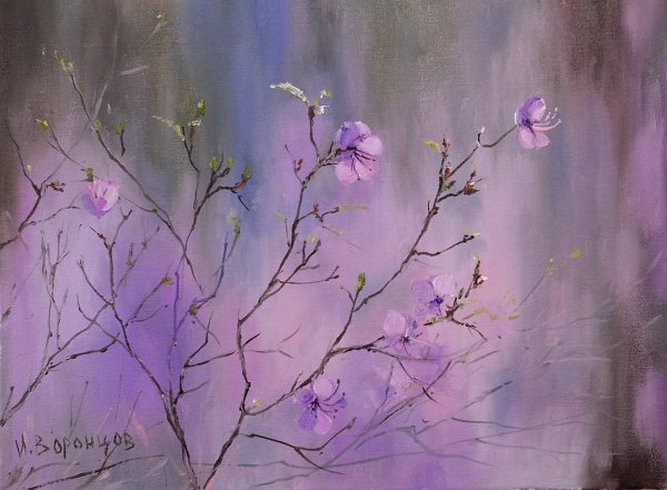 Багульник акварель