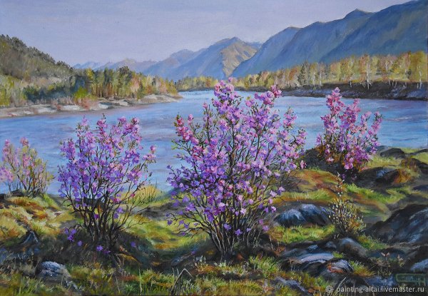 Багульник на Байкале акварелью