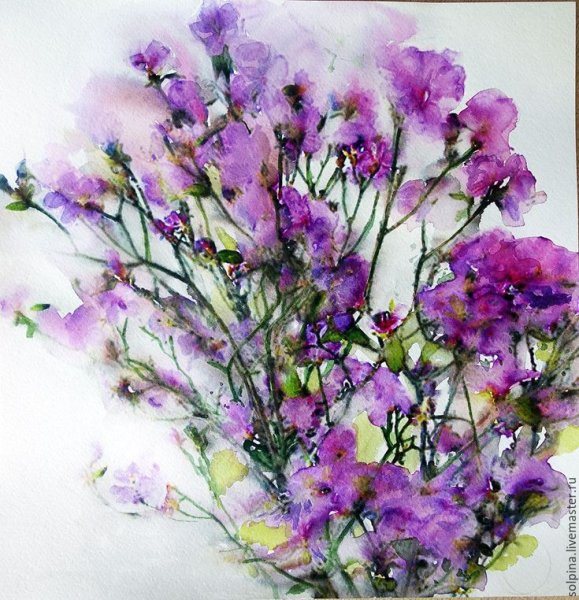 Багульник фиолетовый