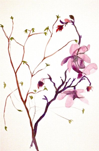 Ветка акварель