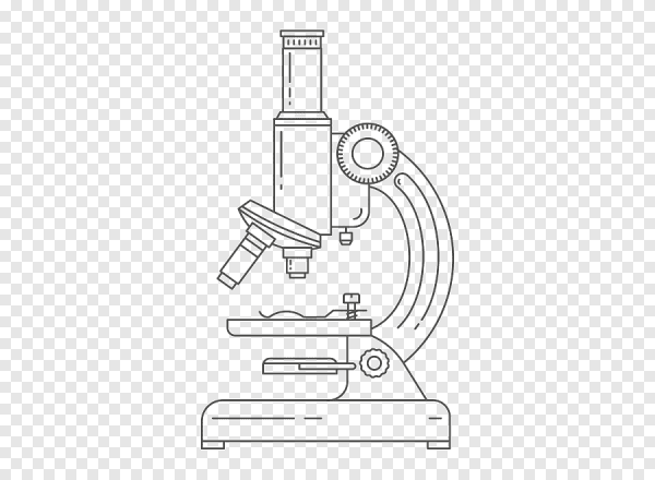 Микроскоп сбоку рисунок