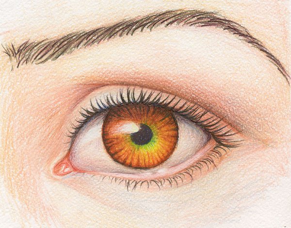 Глаза рисунок