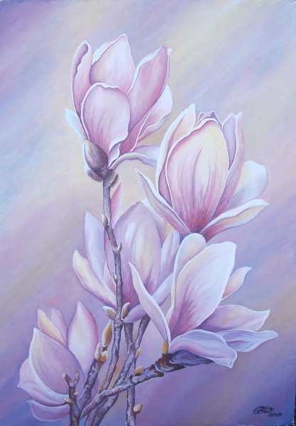 Магнолия Суланжа акварель