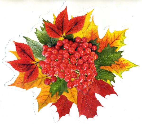 Композиция из осенних листьев в вазе