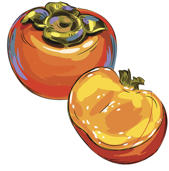 Хурма вектор