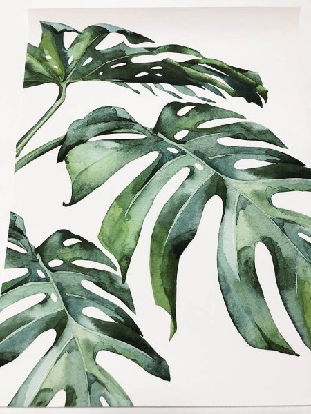 Тропические листья акварелью