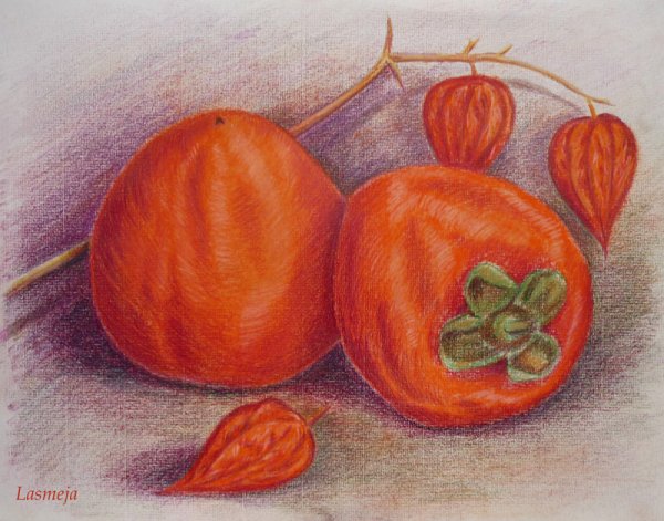 Хурма для рисования