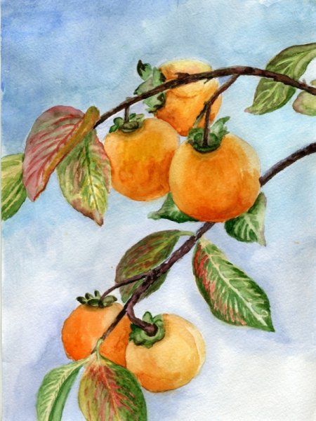 Гарцони хурма