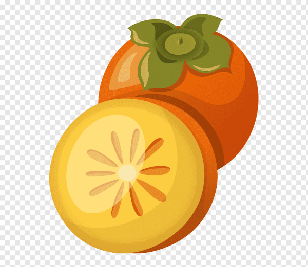 Векторная Графика фрукты хурма