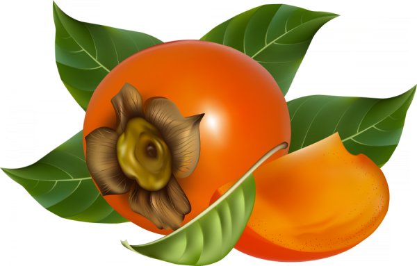 Хурма клипарт