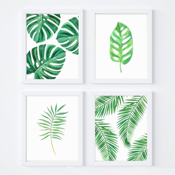 Монстера Эскуэлто