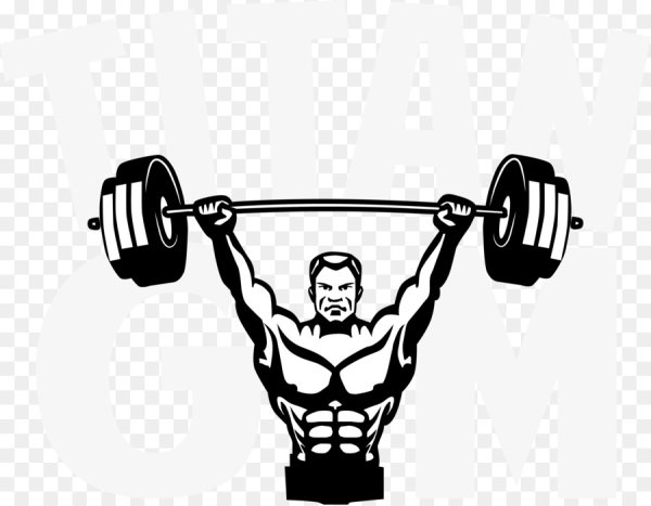 Штанга вектор