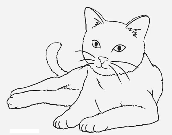 Картинка кошка раскраска