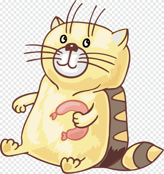 Котик рисунок