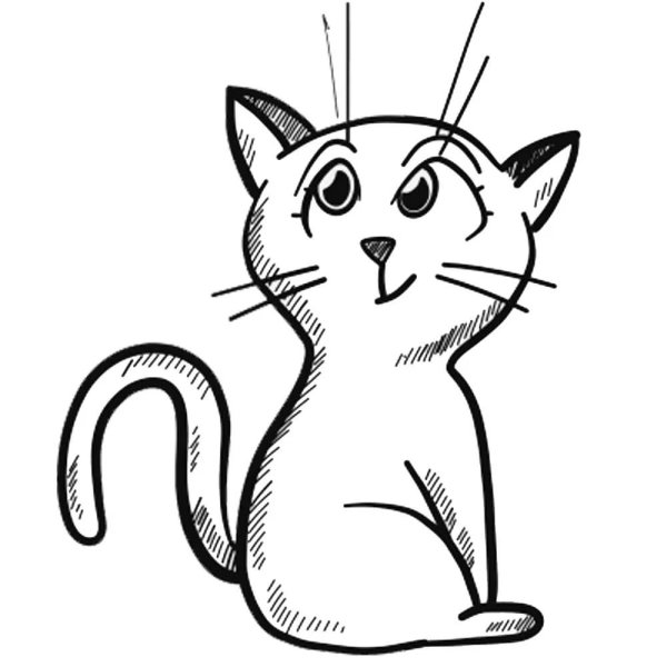 Рисунок кошки для срисовки