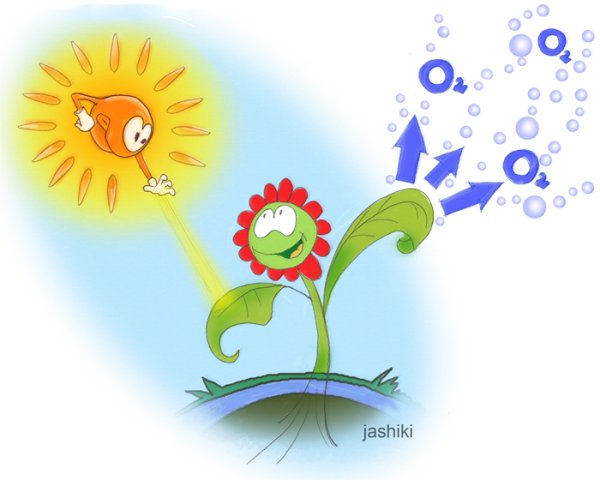 Фотосинтез схема для детей