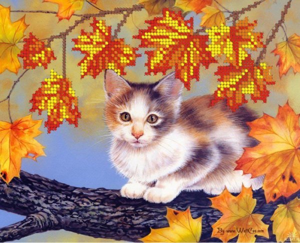 Осень иллюстрации